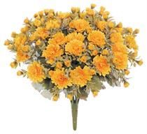 Mini Mum Bush Gold