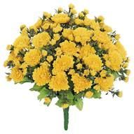 Mini Mum Bush Yellow