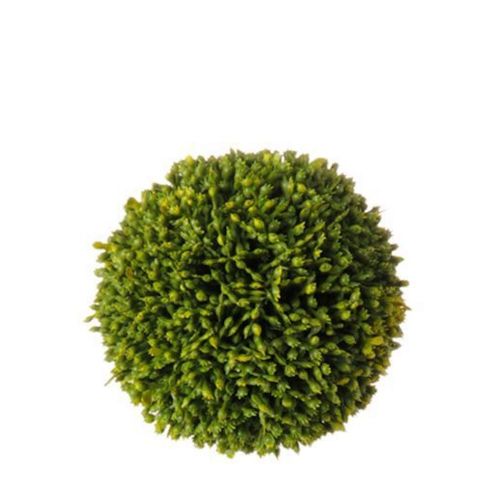 Sedum Ball (Small)
