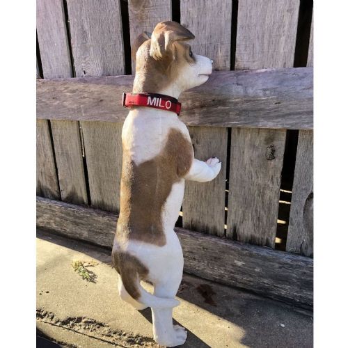 Standing Dog "Milo"