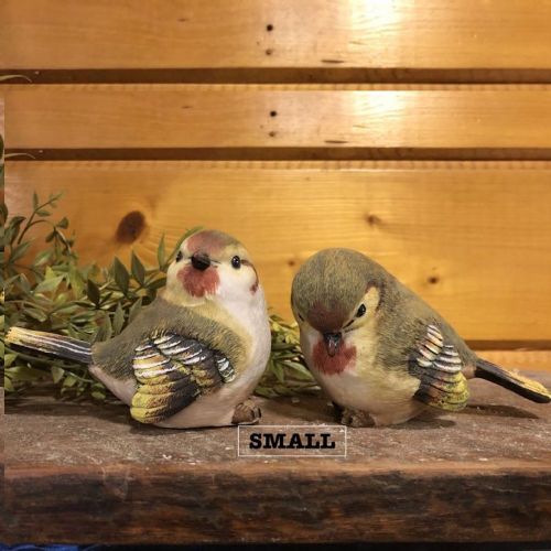 Birds | Small