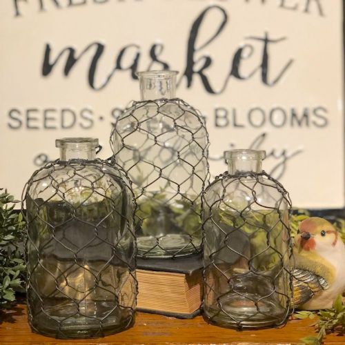Vase Set/3 Glass W/Chicken Wire 