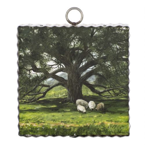 Mini Angel Oak Print