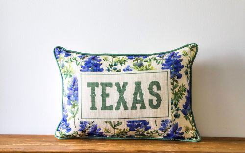 Pillow Texas Blue Bonnets