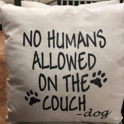 Pillow-No Humans Allowed On The Couch