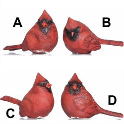 Cardinal Birds | Small