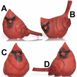 Cardinal Birds | Medium 