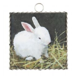 Mini Baby Bunny Print