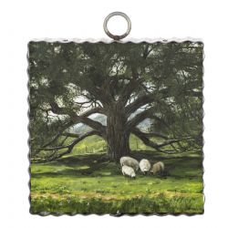 Mini Angel Oak Print
