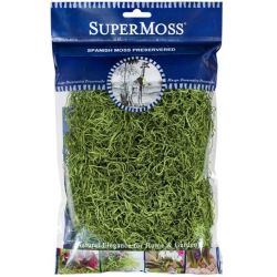 Moss Preserved Spanish Moss