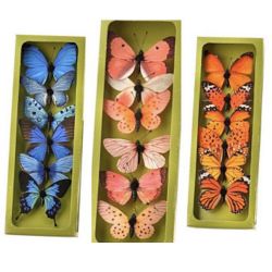 Butterflies Box of 6 Assorted